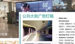 上海金融女博士爆料视频,揭秘金融圈真实面貌